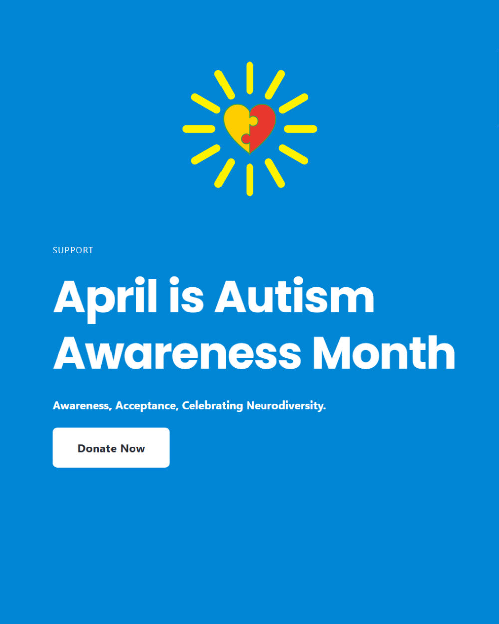 DONATE - Autism Awareness